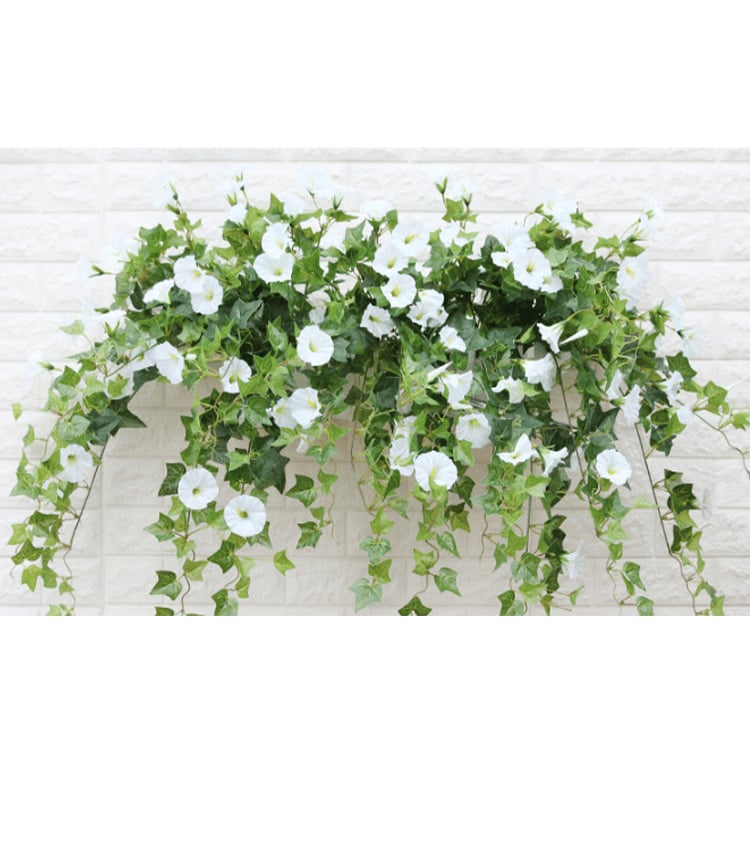 💥This Week's Special Price $16.98🌺UV Simulation Artificial Morning Glory