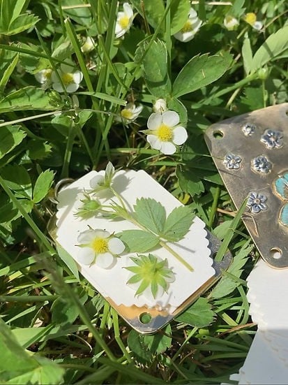 💐2025 Micro Flower Press