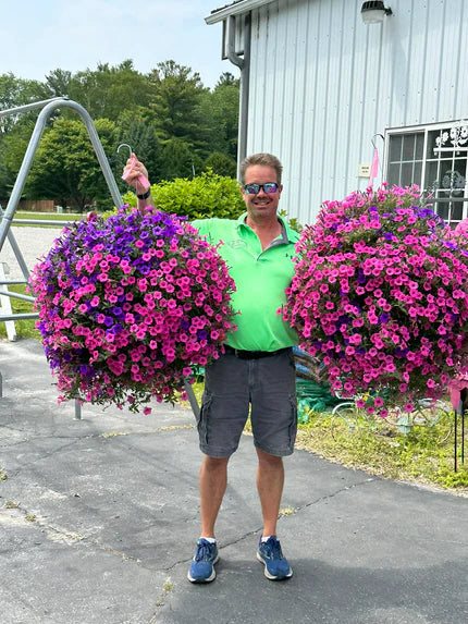 💥This Week's Special Price $16.98🌺UV Simulation Artificial Morning Glory