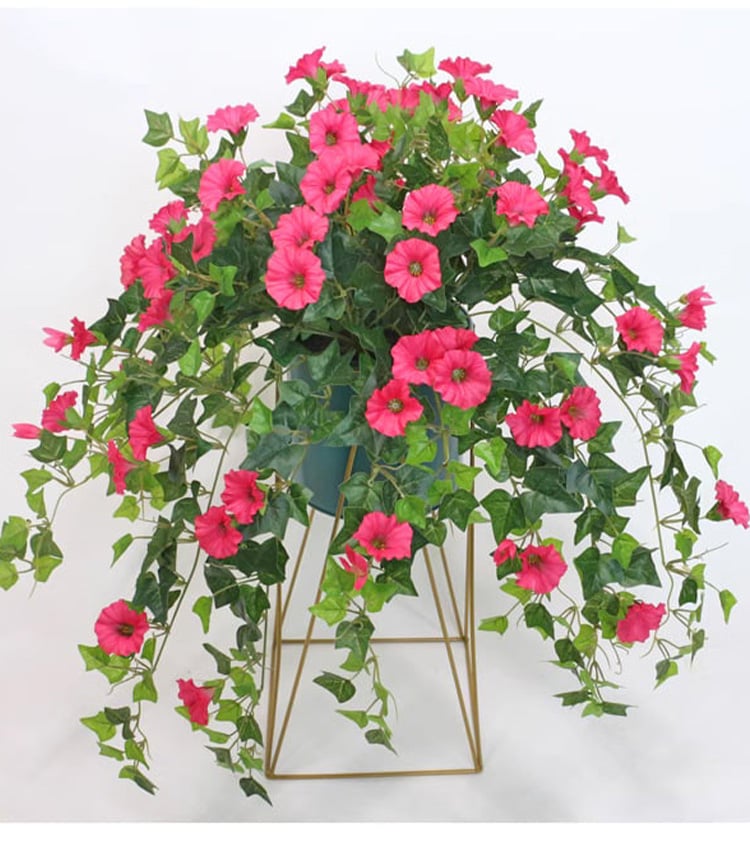 💥This Week's Special Price $16.98🌺UV Simulation Artificial Morning Glory