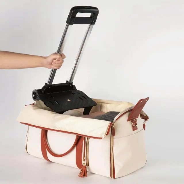 🔥 ✨Foldable Travel Bag 2.0