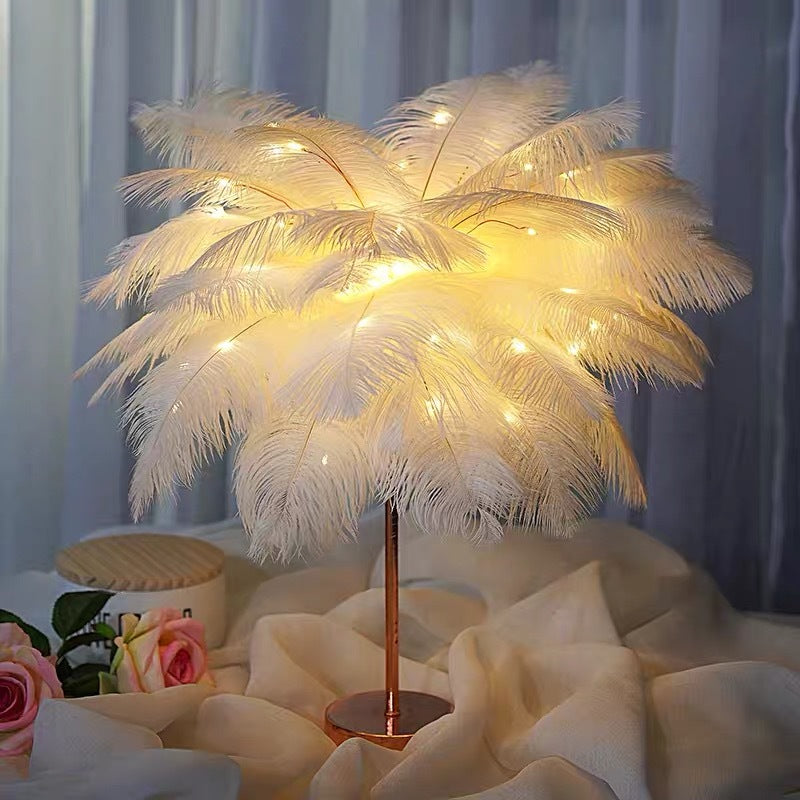 Warm Feather Night Light