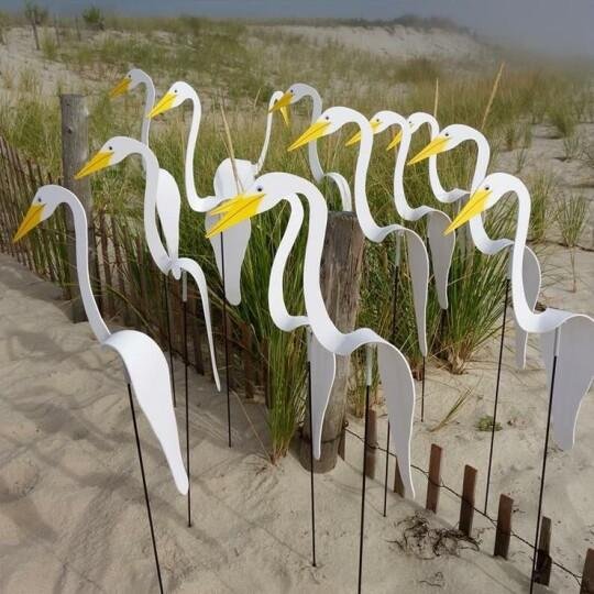 Swirl Bird-A whimsical and dynamic bird that spins with the slight garden breeze