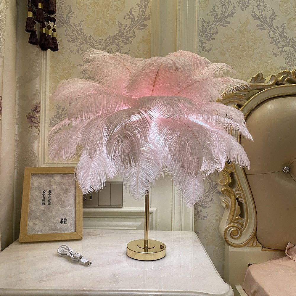 Warm Feather Night Light