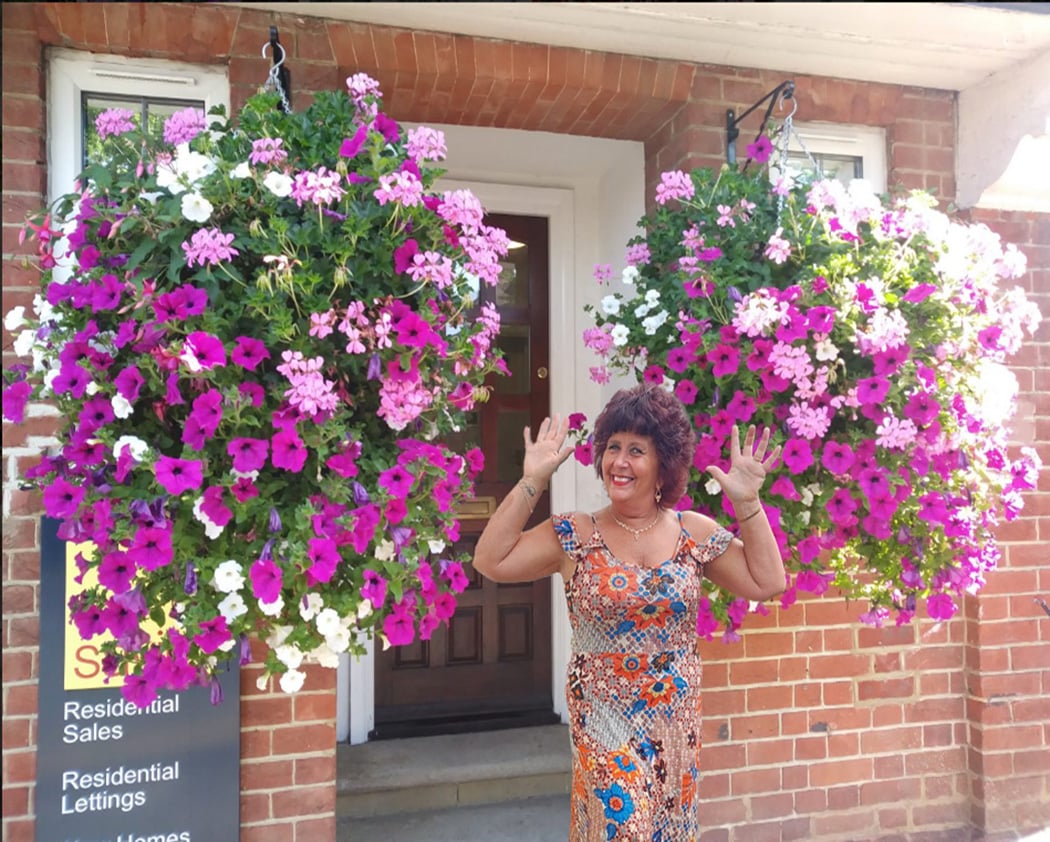 💥This Week's Special Price $16.98🌺UV Simulation Artificial Morning Glory