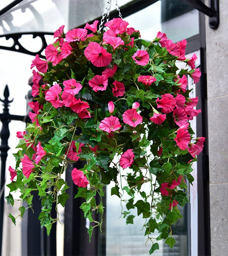 💥This Week's Special Price $16.98🌺UV Simulation Artificial Morning Glory