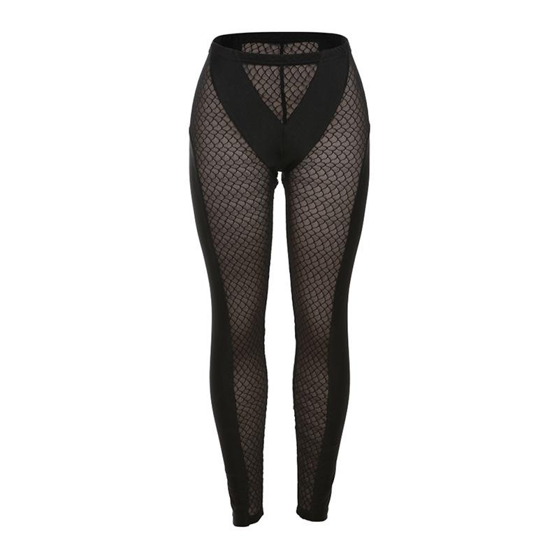 acelimosf™-Fishnet mesh solid high rise pant